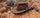 Quality Hats without the Fancy Price Tag: What Actually Matters