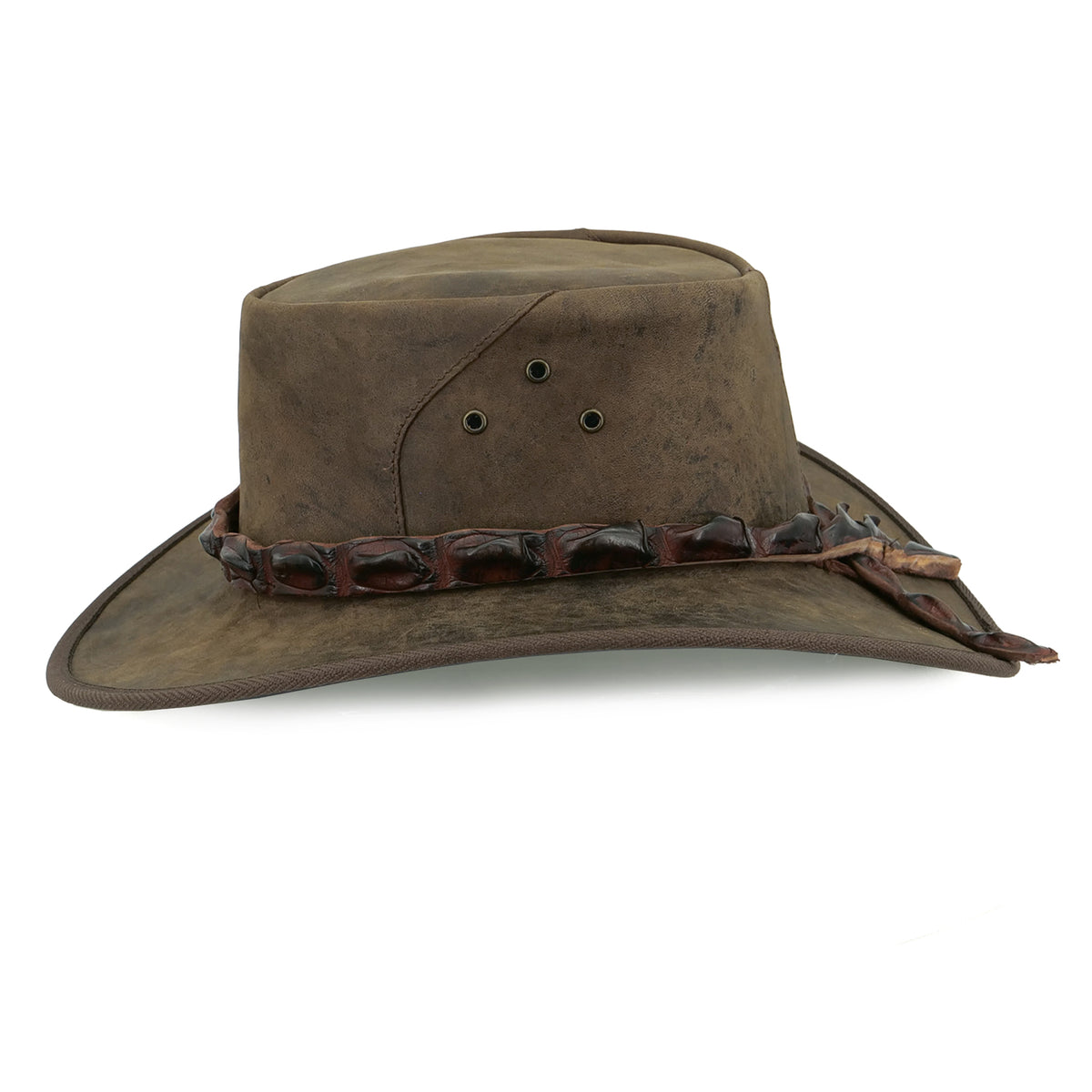Ash Brown