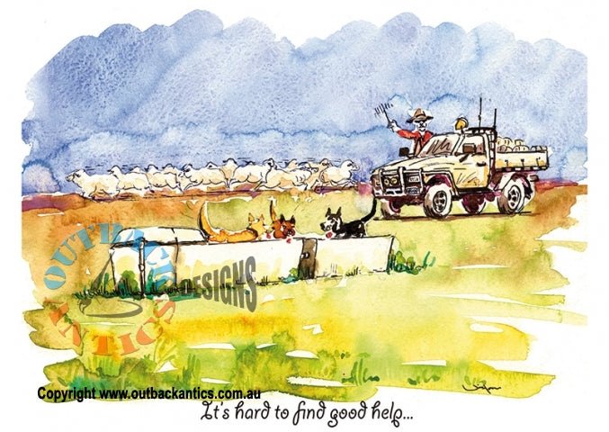 "Hard To Find Good Help" Aussie Bush Greeting Card - Kakadu Traders Australia