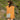 Garrison Crossbody Bag - Kakadu Traders Australia